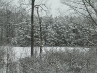 DSCN8166.JPG