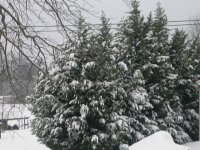DSCN8171.JPG