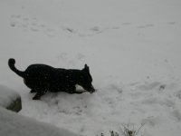 DSCN8147.JPG