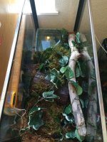 smaller tank 1.jpg