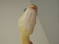 DSCN0066r.jpg
