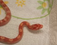 3nd_Baby_edited-1.jpg
