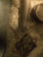 Butter Corn2.jpg