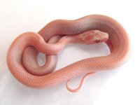 15-35-1M.jpg