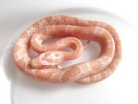 15-23-3M.jpg
