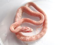 15-23-5M.jpg
