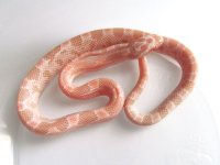 15-23-6M.jpg