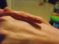 DSCF5478.jpg