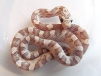 15-24-3M.jpg