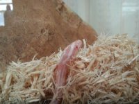 20140823_165912 (800x600).jpg