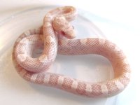 15-24-6M.jpg