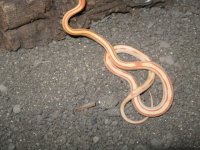 camera mem card one 212.JPG