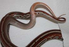 IMG_6283.JPG