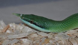 DSC_4496.JPG