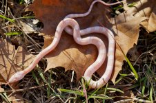 Hypo Av J Jan 2013-12.jpg