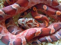DSCN5328.JPG