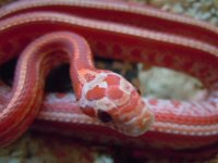 DSCN5333.JPG