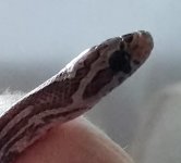 20150907_163154.jpg