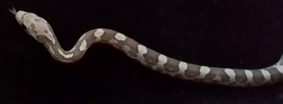 20150907_162234 (1024x379).jpg