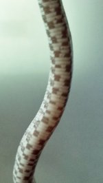 20150907_162637 (579x1024).jpg