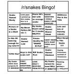 rsz_bingo.jpg