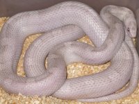 Picture 023.jpg