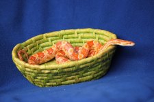 IMG_4309.JPG