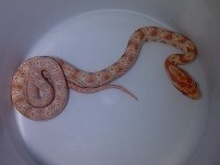 IMG-20121009-01815.jpg