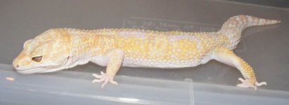 What-The-Heck 002.jpg