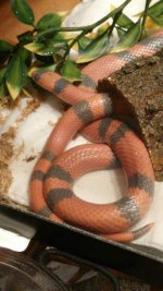 uploadfromtaptalk1400859705235.jpg uploadfromtaptalk1400859705235.jpg