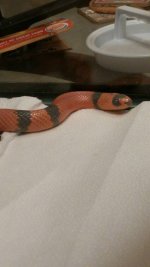 uploadfromtaptalk1400859722754.jpg uploadfromtaptalk1400859722754.jpg