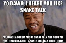 snake talk.jpg