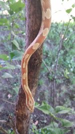20130812_084752 (450x800).jpg