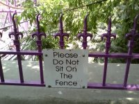 fence.jpg