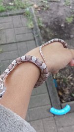 20130726_101503 (450x800).jpg