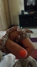 20130726_102415 (450x800).jpg