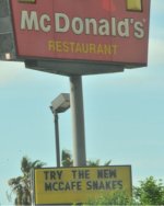snakes sign.jpg