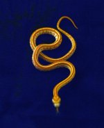 2013 reptiles for sale 050.jpg