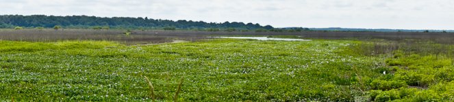 La Chua May 3013-15.jpg