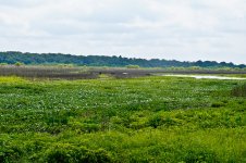 La Chua May 3013-55.jpg
