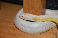 DSC_0770.JPG DSC_0770.JPG