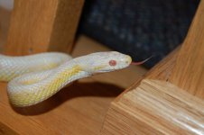 DSC_0764.JPG DSC_0764.JPG