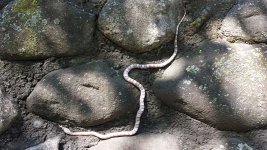 20130816_110924 (800x450).jpg