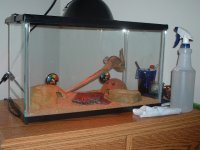 oldsetup.JPG
