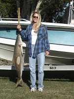 cobia.JPG