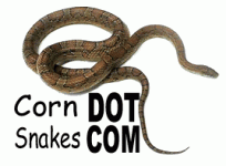 cornsnakesdotcom.gif
