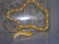 Picture 324 (Small).jpg