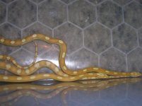 Picture 359 (Small).jpg