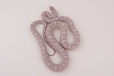 10 Anery lavender diffused 8-11.jpg