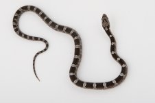 11-3-2 1-0 Granite.jpg